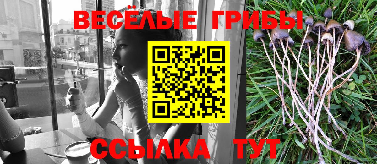 Галлюциногенные грибы Cubensis  Вход с VPN  Чехов  Псилоцибиновые грибы MAGIC MUSHROOMS 