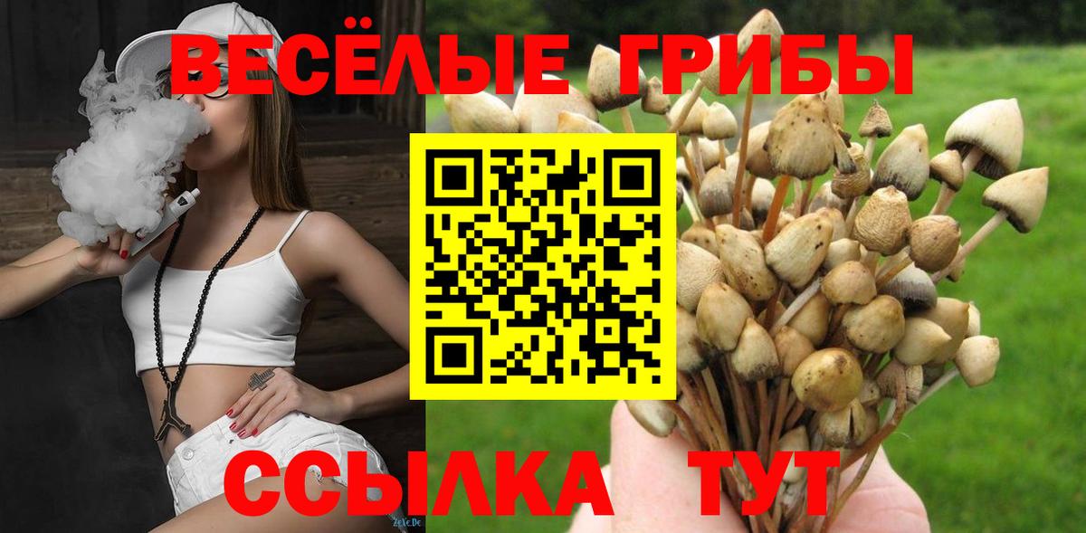 Галлюциногенные грибы прущие грибы Чехов